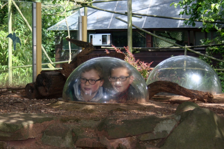 Bristol Zoo - River Trip July 2016